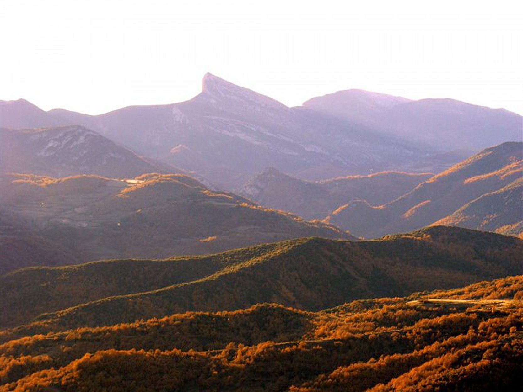 REHABITATE_ENVALL_7_5_Hope_and_Panoramics_from_Envall.jpeg