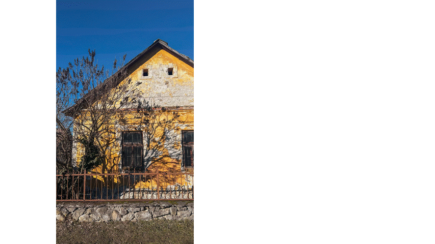 Roots-Reimagined---A-Heritage-Haven-project-presentation-video.gif