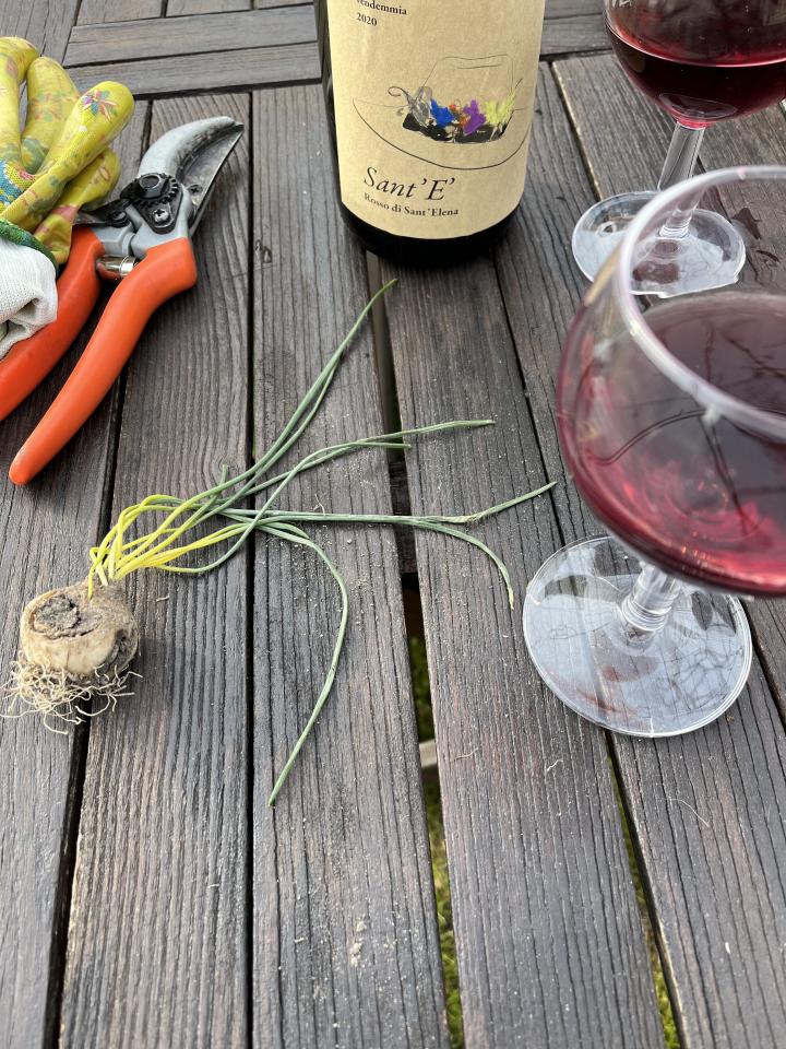 Laguna nel Bicchiere, Le vigne ritrovate-24/>
										</picture>
										<figcaption class=