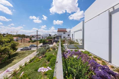 The garden house in the city