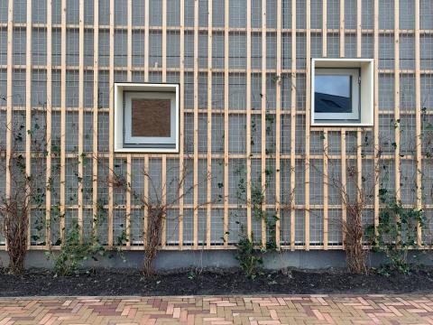 Biophilic elementary school Verwondering