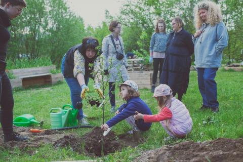 Ideas Garden