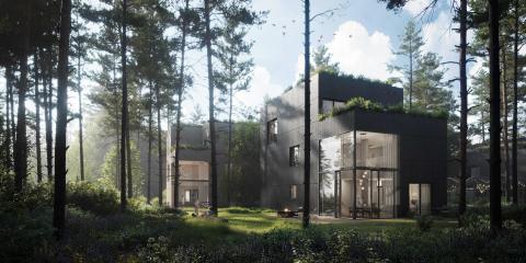 Common Woods - Building Common Grounds