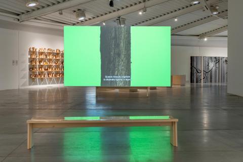 Cambio by Formafantasma