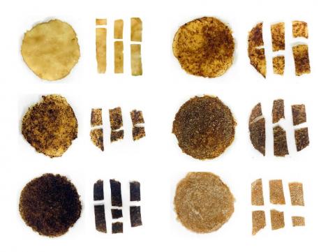 Microbial Leather