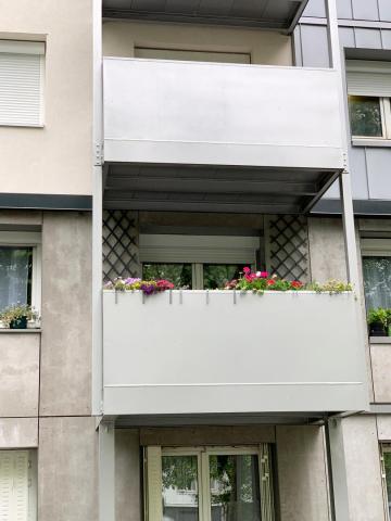 Low Carbon refurbishment of 1000 Housing