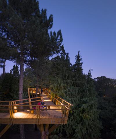 TREETOP WALK OF SERRALVES