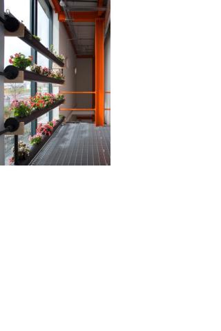 The Rediscovery Centre, Dublin