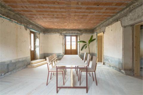 La Rivoluzione delle Seppie