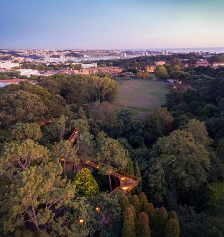 TREETOP WALK OF SERRALVES