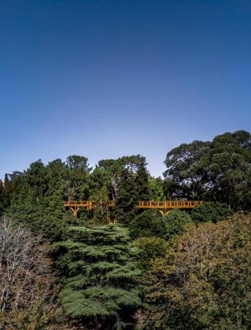 TREETOP WALK OF SERRALVES