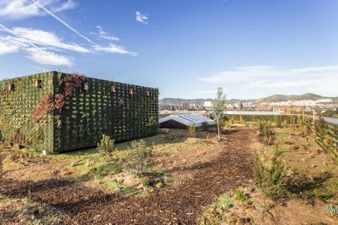 Greening roofs in Barcelona