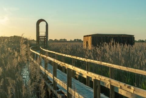Sándorfalva Rural Geometries