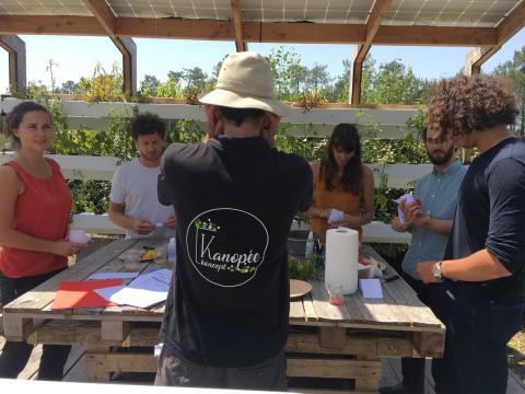 Adjustable hydroponic pergolas 