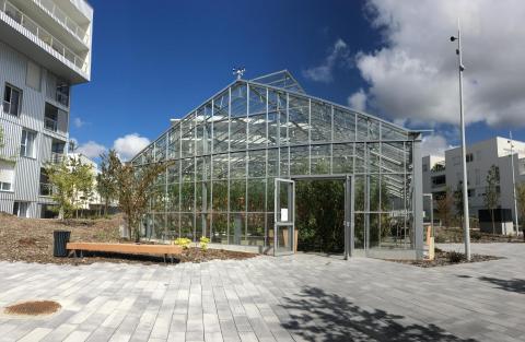 Food pergolas right next to your flat