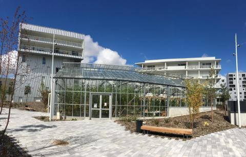 Regeneration through food production !