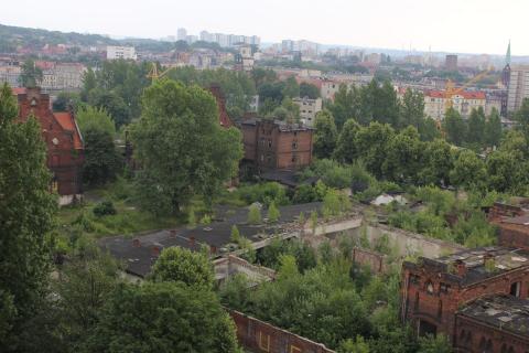 the old slaughterhouse 