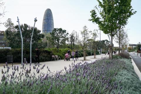 Meridiana Avenue Transformation