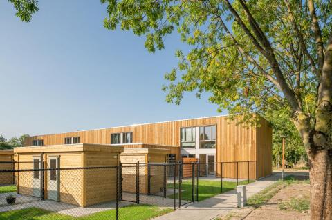 NUR-HOLZ