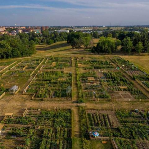 Orti Generali