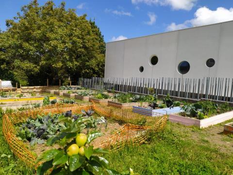 U garden
