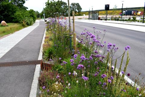 Blue Green Grey Systems 