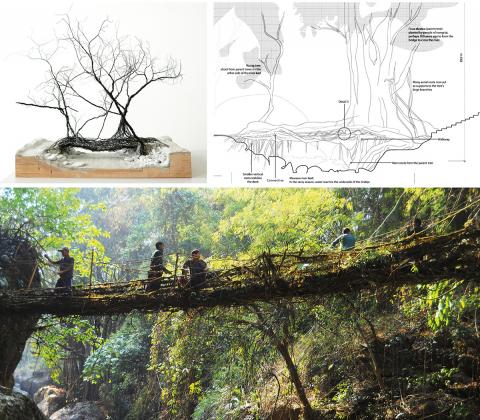 Baubotanik - Living Architecture 