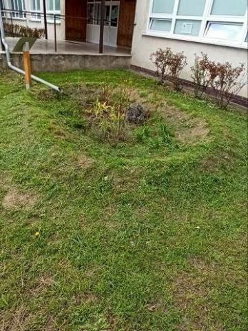 The Oasis of Green Place