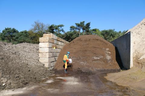 Ignorance is Bliss Ceramic Tiles