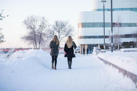 The Gendered Landscape