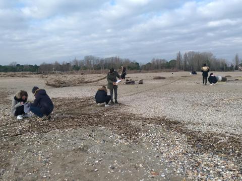 didactics in the field