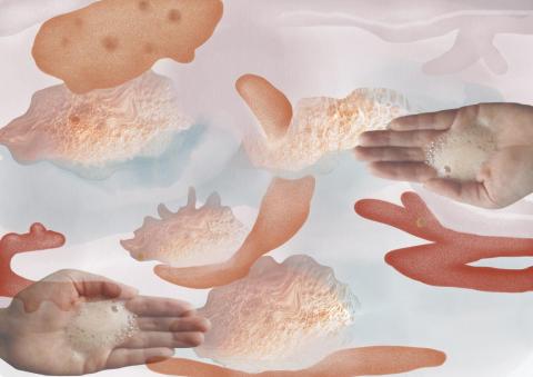 Flavour of Compassion 