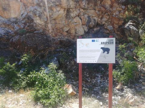 BEAR ARTS
