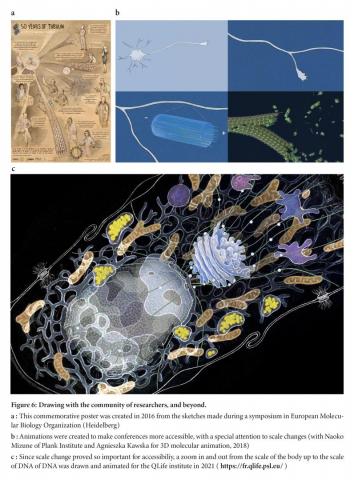 Drawing as a common language.