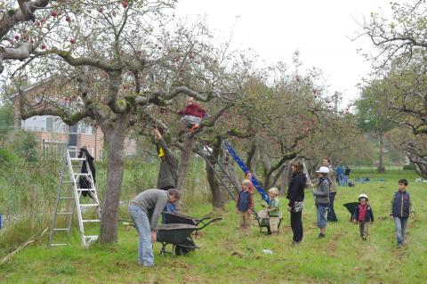 Lanxmeer eco-neighbourhood