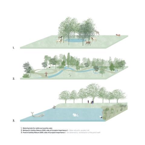 (RE)vision of Landscape