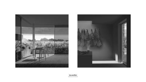 seeing : Herbarium in Wrocław