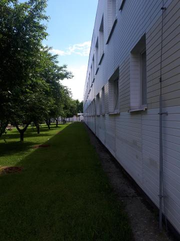 Green life at school 