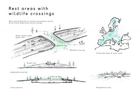 Rest areas with wildlife crossings