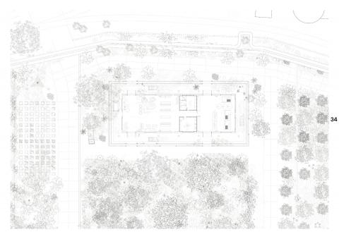 Constructed Ecosystems