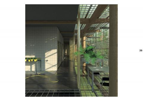 Constructed Ecosystems