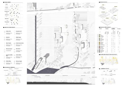 Agritecture