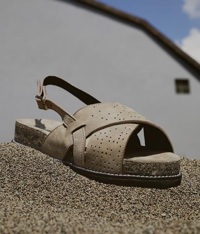 Ped's shoes