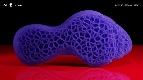 3d_shoe