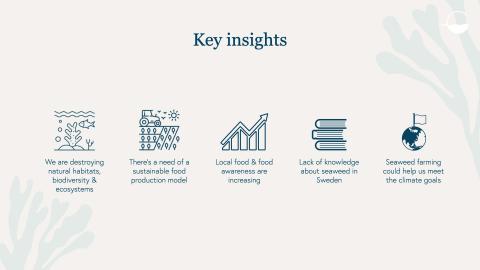 Blue Garden - introducing seaweed