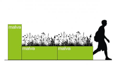 MALVA