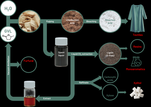 Gamma-valerolactone-based biorefinery