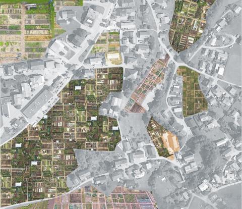 Regional Ecosystem Bregenzerwald