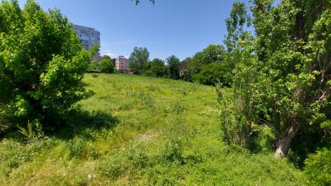 Food forest meets habitat restoration