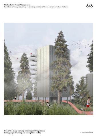 The Fantastic Forest Phenomenon